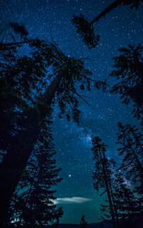 Milky Way over Bald Mountain 