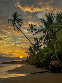 Beachside Radiance