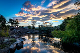 dads duck pond