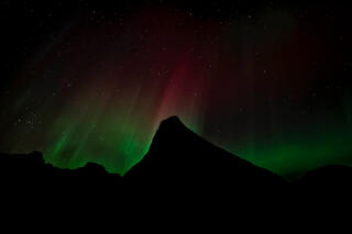 Dark Mountain