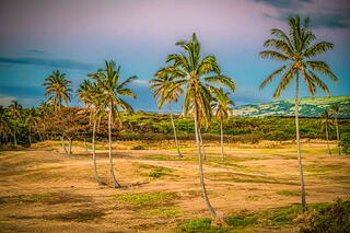 Island Paradise