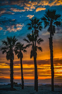 oxnard sunset