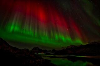 Sky Lights
