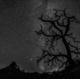 Trip to Zion and Buckskin Gulch