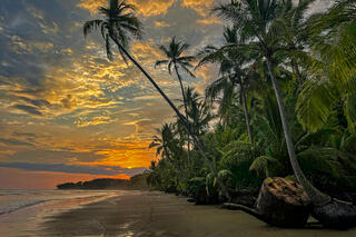 Sunscape