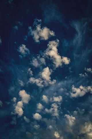 Abstracts