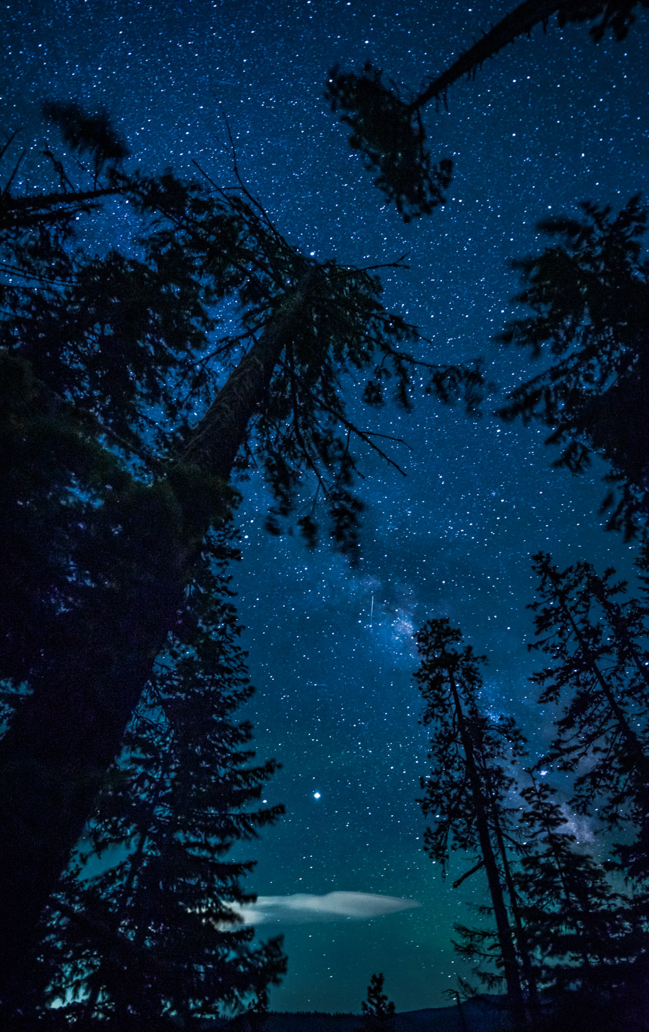 Milky Way over Bald Mountain 