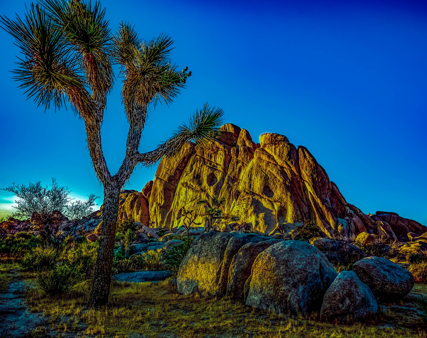 Joshua Tree Park sunset with a very large glowing orange granite monzogranite rock in the image of a slashed face. Including...