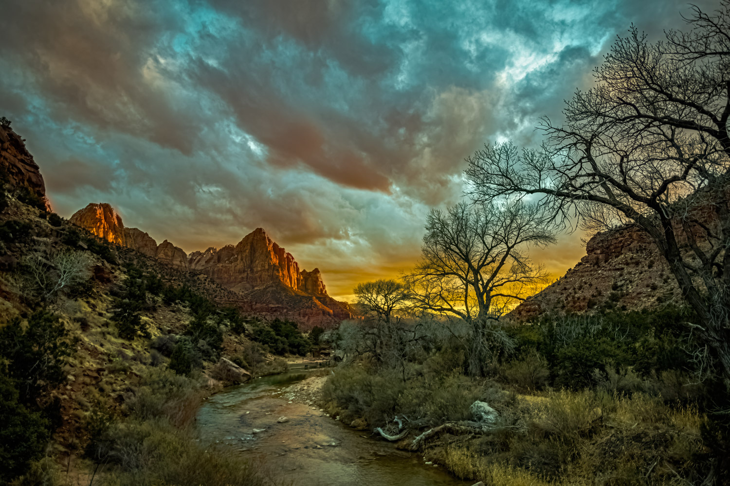 Colorful orange sunset with Fremont cottonwood trees along the Virgin River. Various grass and bushes mixed with rocks and logs...